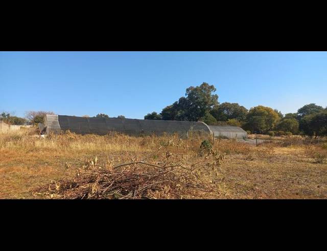 FARM FOR SALE IN LAMMERMOOR